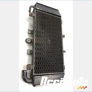 Radiateur de refroidissement YAMAHA FAZER FZS600