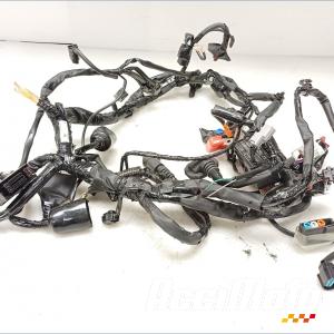 Main wiring HONDA XL 750 TRANSALP