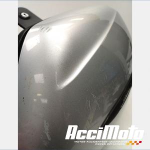 ENSEMBLE VALISES ET SUPPORTS YAMAHA FJR 1300