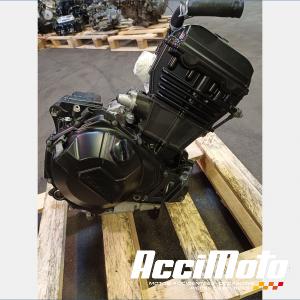 Engine KAWASAKI Z 300