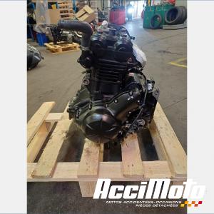 Engine KAWASAKI ER6 F