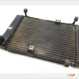 Radiateur de refroidissement HONDA DEAUVILLE NT700V