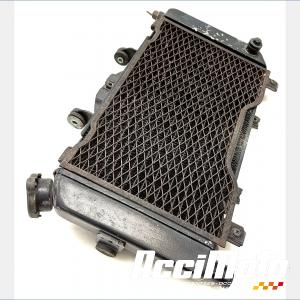 Radiateur de refroidissement YAMAHA TDM 850