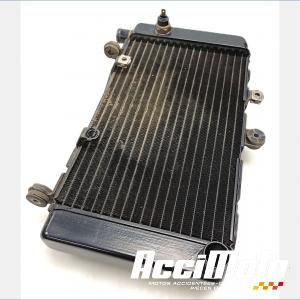 Radiateur de refroidissement HONDA CBF500