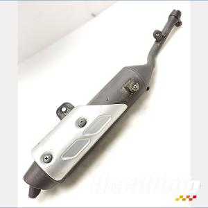 Silencieux (origine) YAMAHA TDR 125