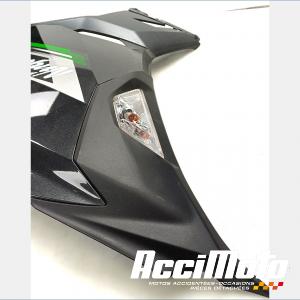 Flanc de carénage avant (gauche) KAWASAKI NINJA EX400