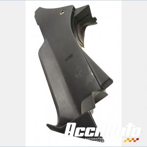 Intérieur de tête de fourche (droit) HONDA CBR919