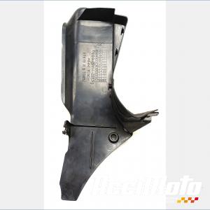 Intérieur de tête de fourche (droit) HONDA CBR919