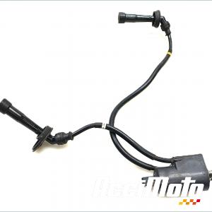 Bobine d'allumage (1/4) SUZUKI BANDIT GSF600N