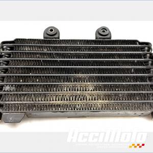 Radiateur d'huile SUZUKI BANDIT GSF600N