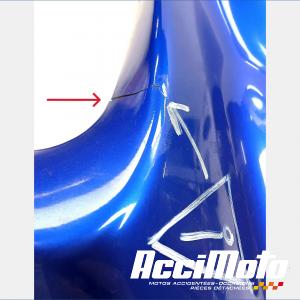 Demi tête de fourche (gauche) SUZUKI SV 650S