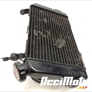 Radiateur de refroidissement SUZUKI SV 650S