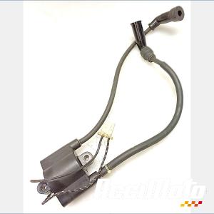 Bobine d'allumage SUZUKI FREEWIND XF650