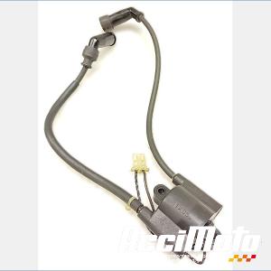 Bobine d'allumage SUZUKI FREEWIND XF650