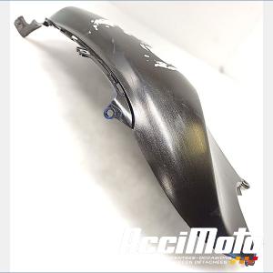 Flanc de carénage avant (droit) SUZUKI FREEWIND XF650