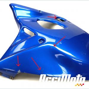 Kit carénages SUZUKI SV 650S