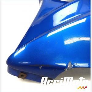 Kit carénages SUZUKI SV 650S