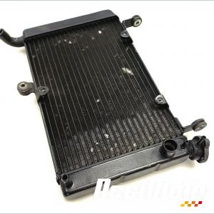 Radiateur de refroidissement YAMAHA YZF 600R THUNDERCAT 