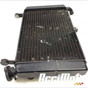 Radiateur de refroidissement YAMAHA YZF 600R THUNDERCAT 