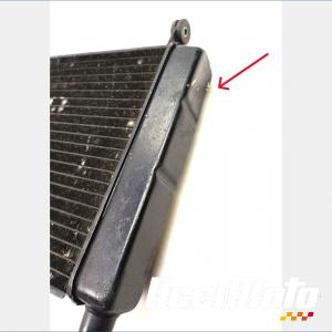 Radiateur de refroidissement YAMAHA YZF 600R THUNDERCAT 