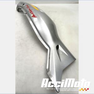 Coque arrière (gauche) YAMAHA YZF 600R THUNDERCAT 