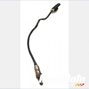 Sonde lambda BMW R1250 GS