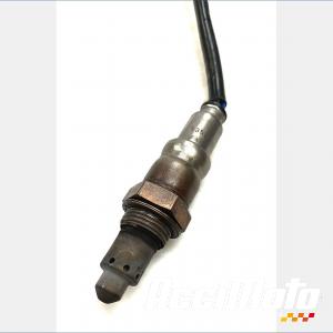 Sonde lambda BMW R1250 GS