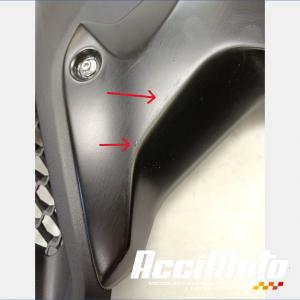 Flanc de carénage avant (gauche) BMW R1250 GS