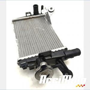 RADIATEUR REFROIDISSEMENT D BMW R1250 GS