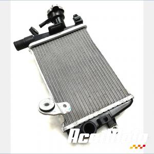 RADIATEUR REFROIDISSEMENT D BMW R1250 GS