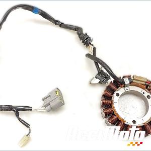 Stator d'alternateur YAMAHA XTZ TENERE 700