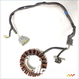 Stator d'alternateur YAMAHA XTZ TENERE 700