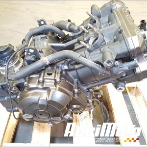 Moteur YAMAHA XTZ TENERE 700