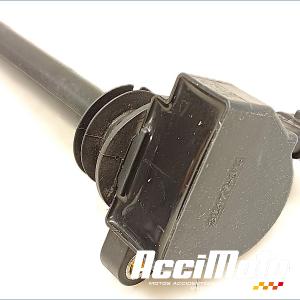 Pencil type ignition coil HARLEY DAVIDSON NIGHT ROD SPECIAL VRSCDX