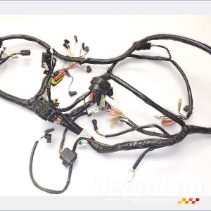 Faisceau &eacute;lectrique (principal) Z&Eacute;RO S01