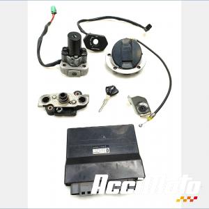 Kit neiman+cdi SUZUKI GSXR 1340 HAYABUSA