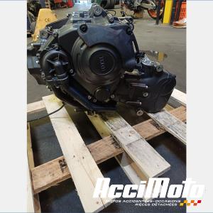 Moteur YAMAHA XTZ TENERE 700