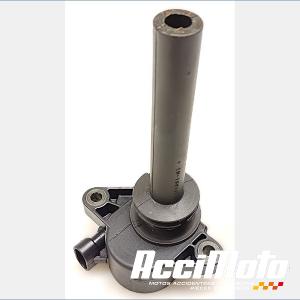 Bobine crayon HARLEY DAVIDSON NIGHT ROD SPECIAL VRSCDX