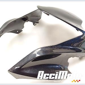 Tête de fourche KAWASAKI ER6 N
