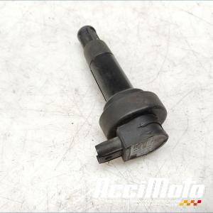 Bobine crayon BMW K1600 GT