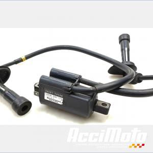 Bobine d'allumage (1/4) SUZUKI BANDIT GSF1200N