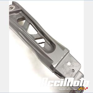 Support plaque d'immat./bavette arr YAMAHA MT-09