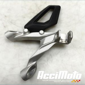Platine repose-pied avant (gauche) BMW S1000 RR