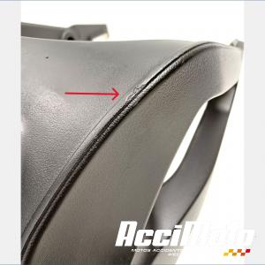 Bras oscillant BMW S1000 RR