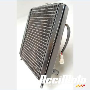 Radiateur de refroidissement PIAGGIO MP3 500 SPORT 