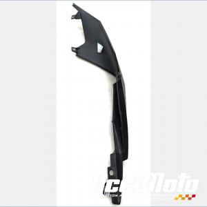 Coque arrière (droite) APRILIA RS 660