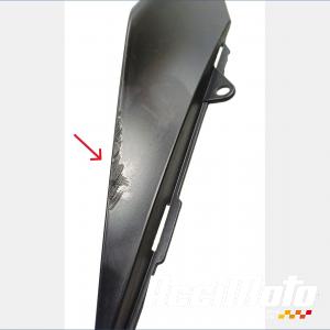 Coque arrière (gauche) APRILIA RS 660