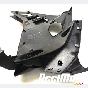 Flanc de carénage avant (gauche) APRILIA RS 660