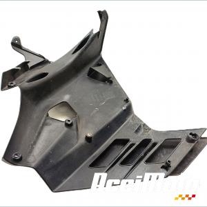 Flanc de carénage avant (gauche) APRILIA RS 660