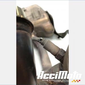 Ligne d'échappement complète APRILIA RS 660